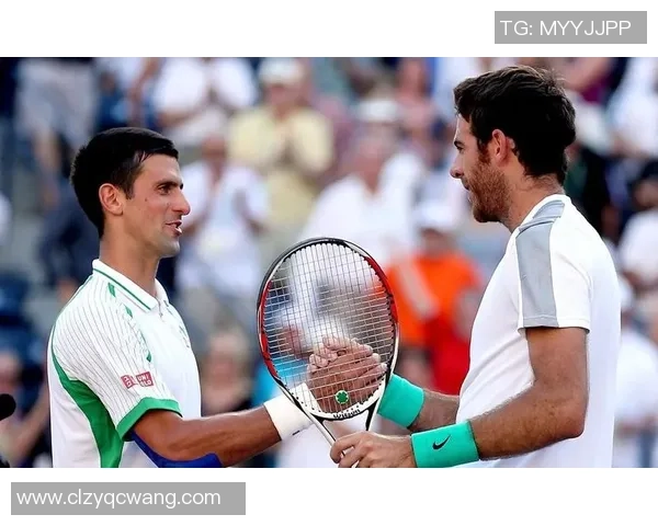 2013温网经典对决波特罗与德约科维奇精彩集锦回顾